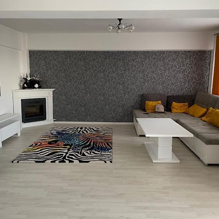 Panoramic M&M Apartment Suceava Eksteriør bilde